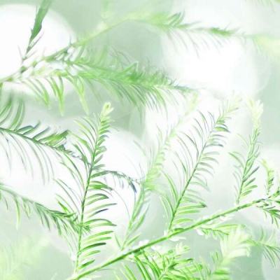 小米无双飞将游戏下载